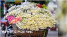 Hà Nội mười hai mùa hoa nở